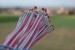 dsc_4141-medium.jpg